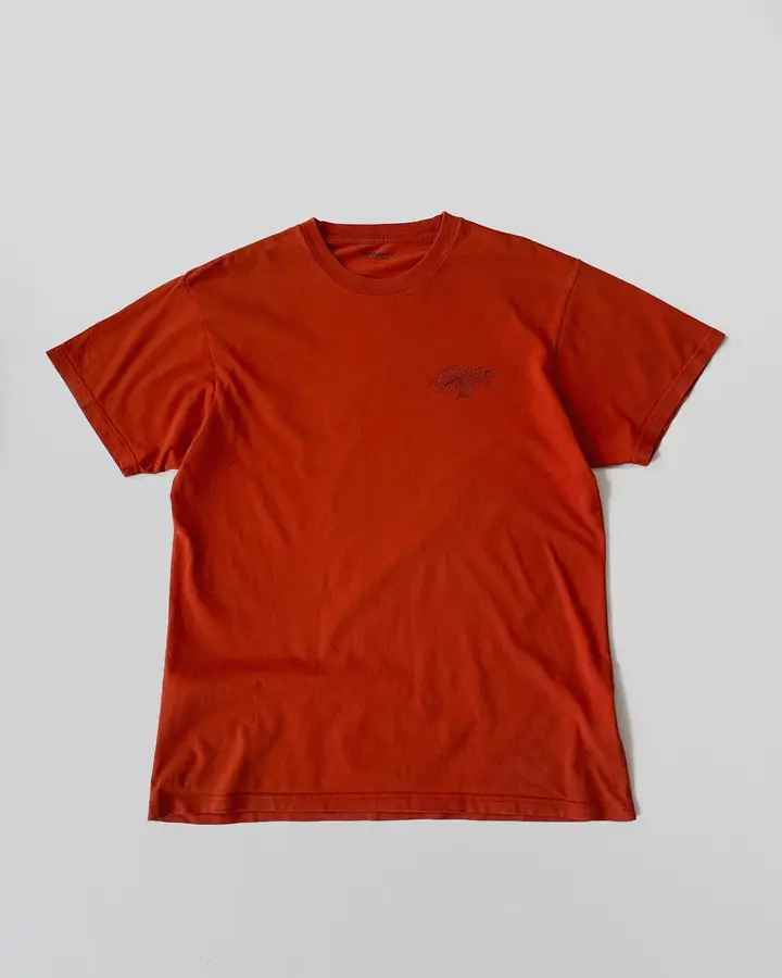 Camiseta Carhartt Wip Vermelho Tijolo